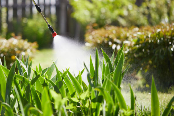 Tamper-Resistant Bait Stations for Rodents in Carthage