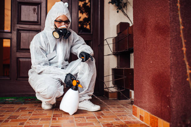 Attic and Crawl Space Rodent Treatment in Carthage